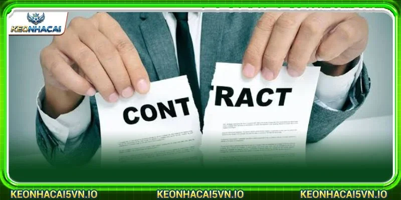 Các quyền về sở hữu bản quyền được thông báo cụ thể tại trang tin
